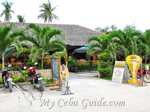 Coucou Lodge Room Prices My Cebu Guide What is the smoking policy at coco beach resort? my cebu guide